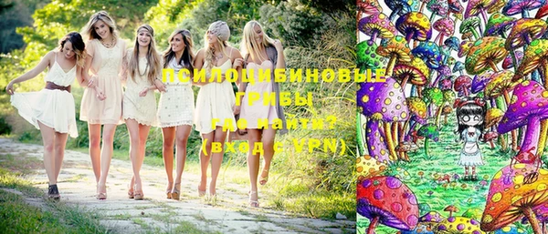 ПСИЛОЦИБИНОВЫЕ ГРИБЫ Баксан